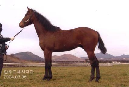 ���丮�� ����