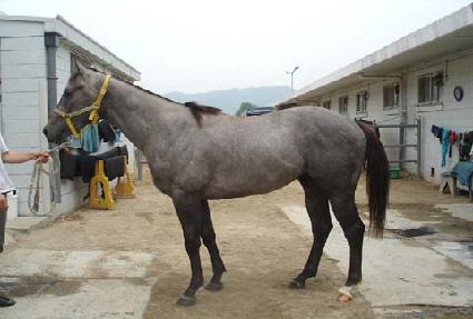 �������� ����