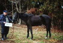 ��ǳ���� (YEOPUNGSEONDO) ����