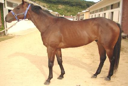 ������� ����