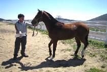 �Ҵк� (SONIC BOOM) ����