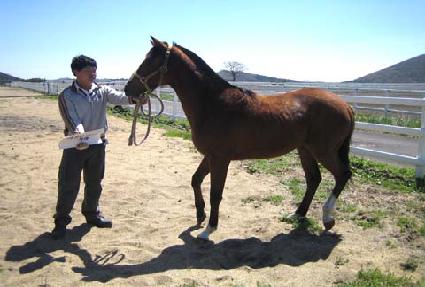 �Ҵк� ����