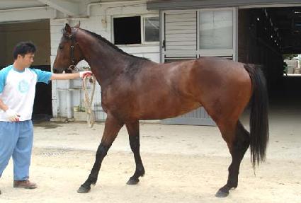 ���� ����