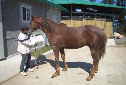 ��δ뼺 ����