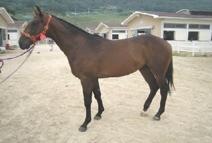 �������� ����