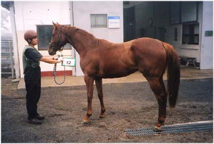 ���Ư�� ����