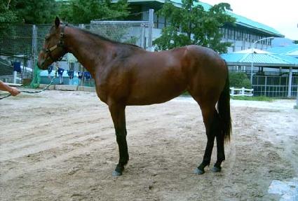 �½¹��� ����