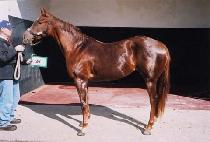 ������ (WOLSONGJEONG) ����