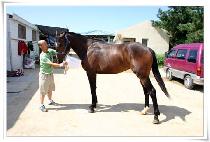 ������ (JEOKDAEJEOK) ����