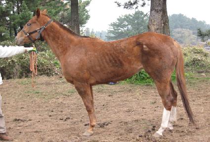 ���Ÿ��� ����