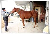 ����߼� (SANGSEUNGCHUSE) ����