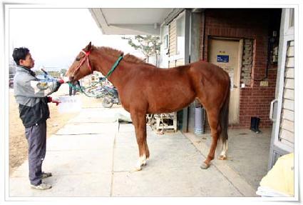 ����߼� ����