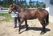 �������� (MUPAEJIJON) ����