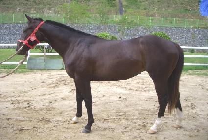 �������� ����