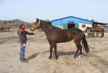 ������� ����