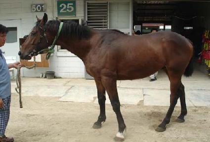 �����̵�Ʃ�� ����