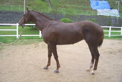 ������ ����