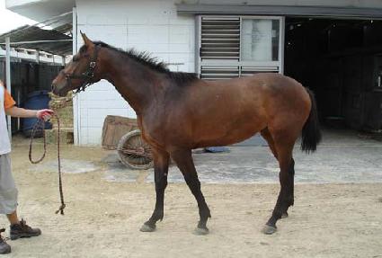 �±ؼ��� ����