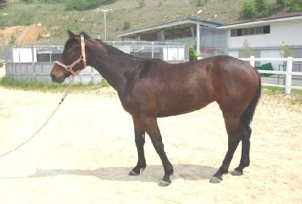 ���ǰ��Բ� ����