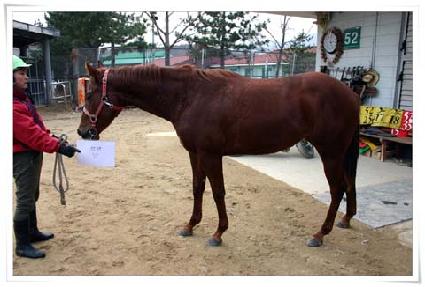 ���� ����