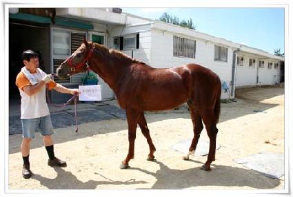 Ȳ�������� ����