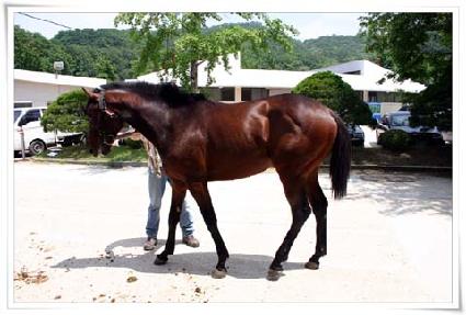 �ݴ�� ����