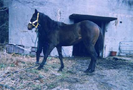 ��õ���� ����