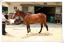 �̶�Ŭ�� (MIRACLE GIRL) ����