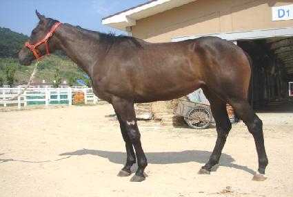 �ݰ����� ����