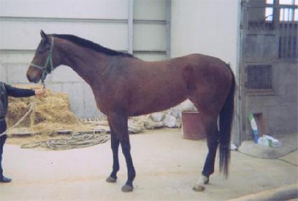 ���ǳ� ����