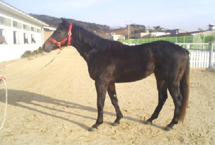 ���丮���� ����