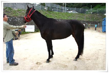 ������� ����