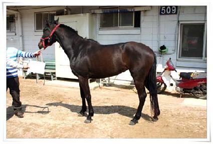 ��â���� ����