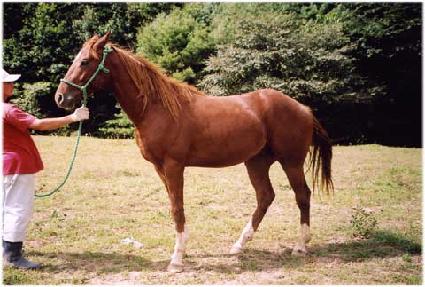 ���ٿ�� ����