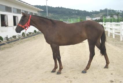 ����ƾ������ ����