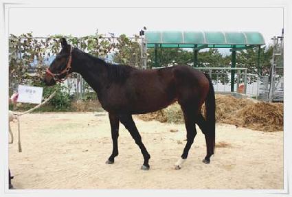 ����� ����