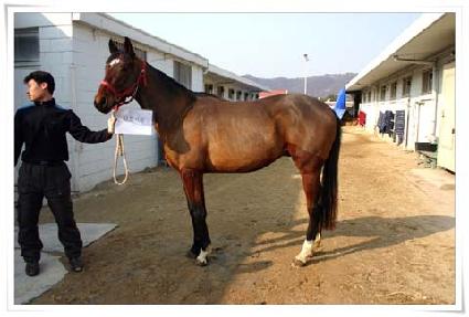 ��â��� ����