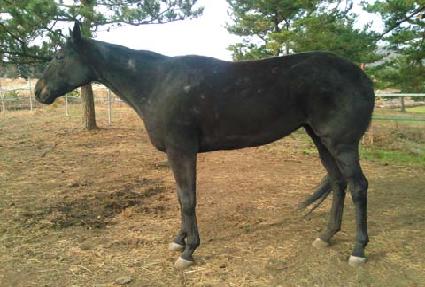 �������ָ� ����