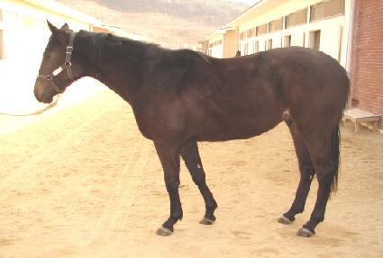 �����º� ����