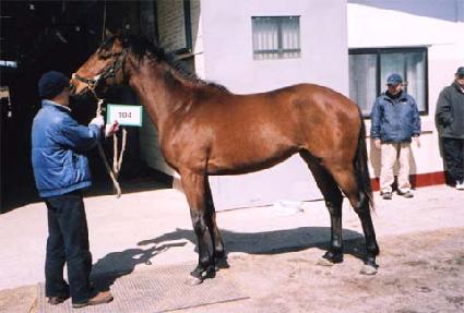 ��ǳ�ǾƵ� ����