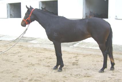 õ������ ����