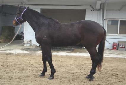 ��ƼǮ���� ����