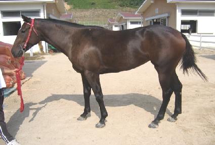 ��õ������ ����