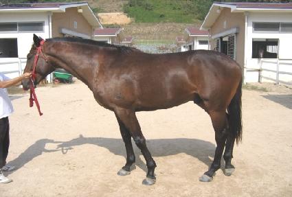 ��ιٶ� ����