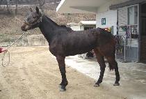 ������Ƽ (MAGIC CITY) ����