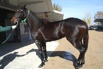 �ƿ����� (OUR RUNNER) ����