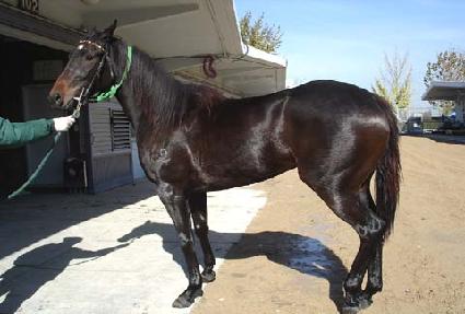 �ƿ����� ����