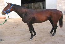 ��ȭ (DOHWA) ����