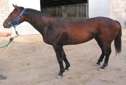 ��ȭ ����