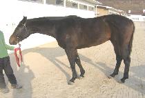 �ƿ�����ĭ (OUR ICON) ����